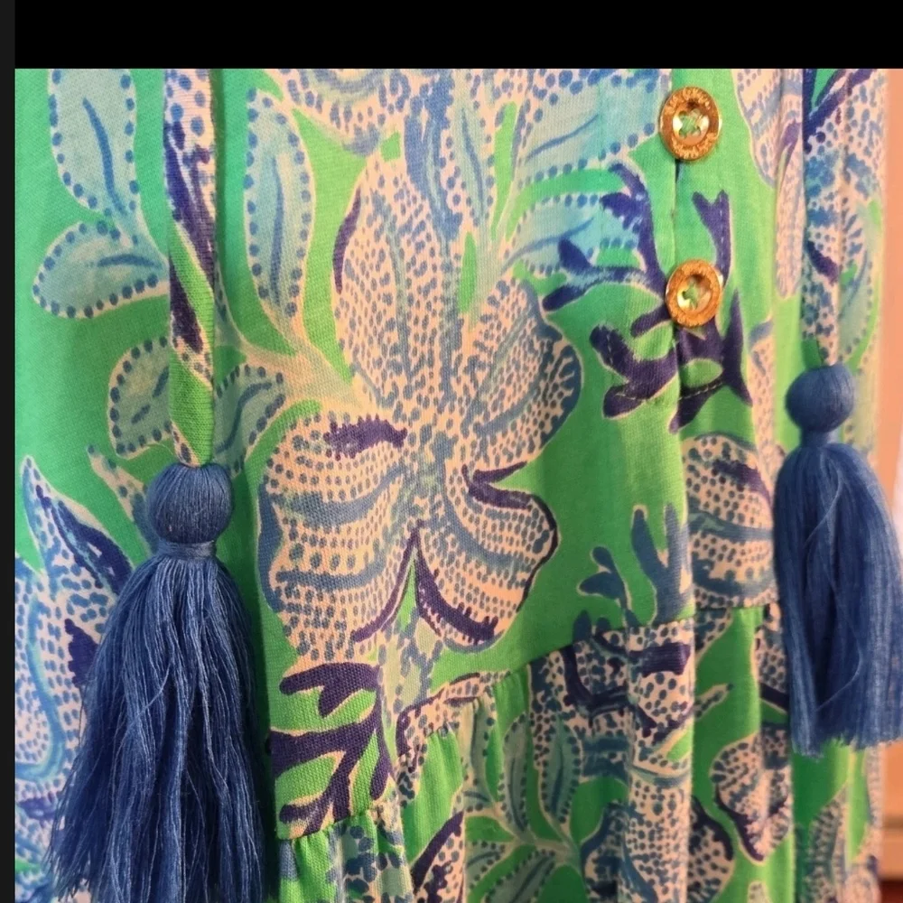 Lilly Pulitzer Green & Blue Tropical Print Maxi Dress - Picture 9 of 13